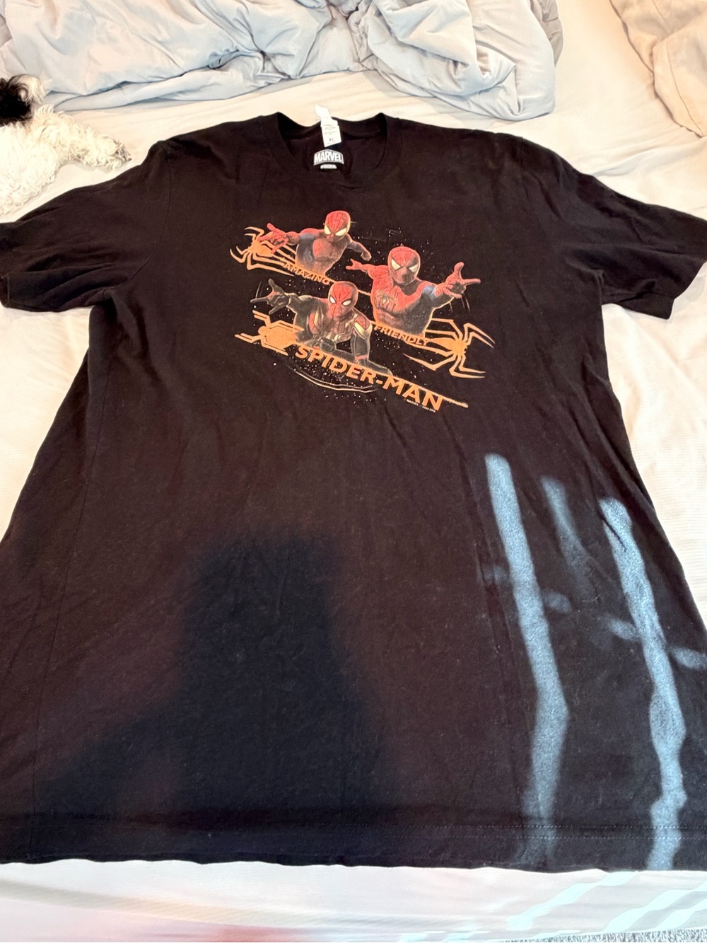 Marvel Black Spider-Man Graphic Tee with Red Accents